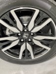 IMG_3905.jpeg