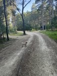 IMG_2546.jpeg