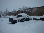 DSC00541.jpg